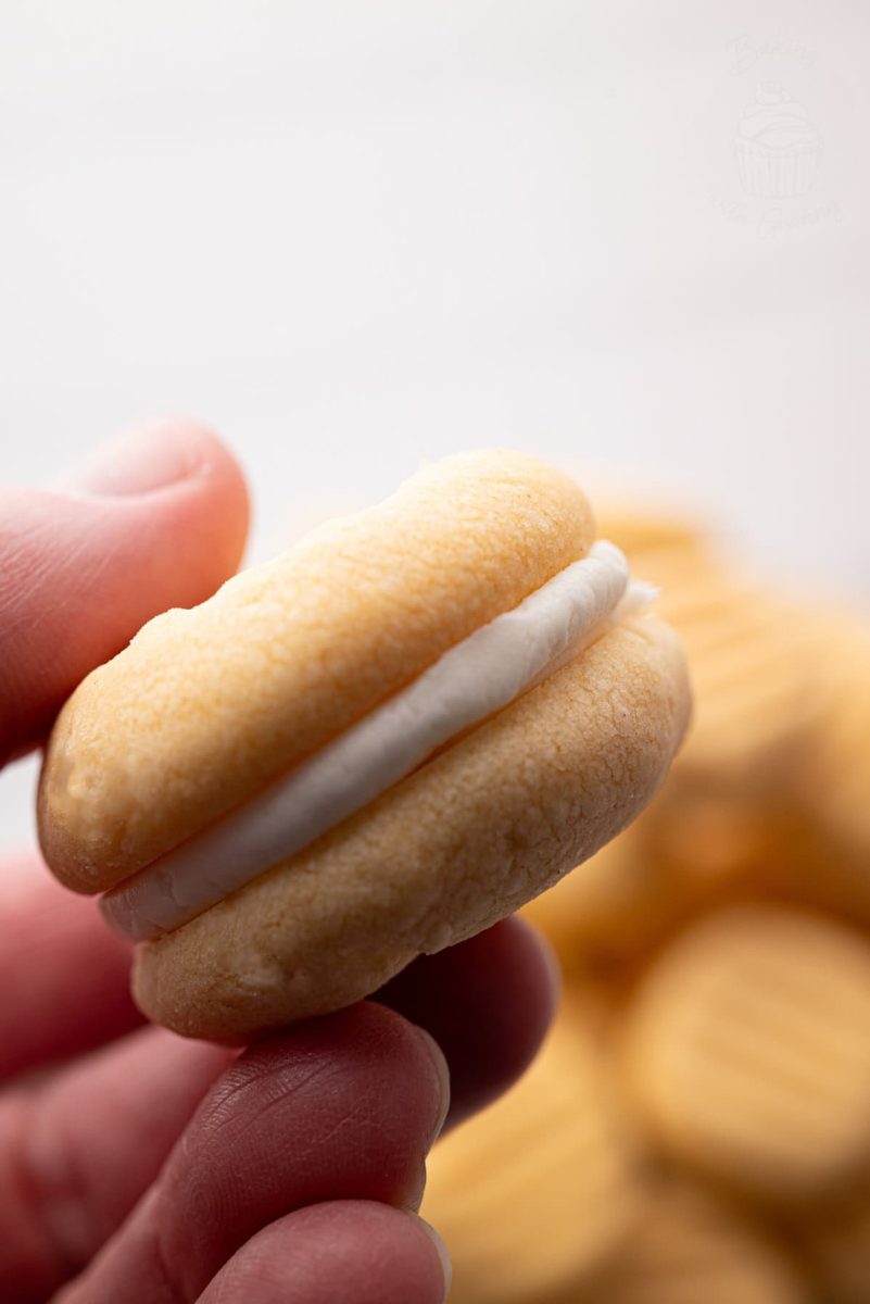 Custard Creams Fingers gently holding a custard cream biscuit over a blurred background of more cookies.